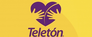 Telet&oacute;n 2014