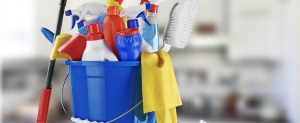 Art&iacute;culos de limpieza 2016